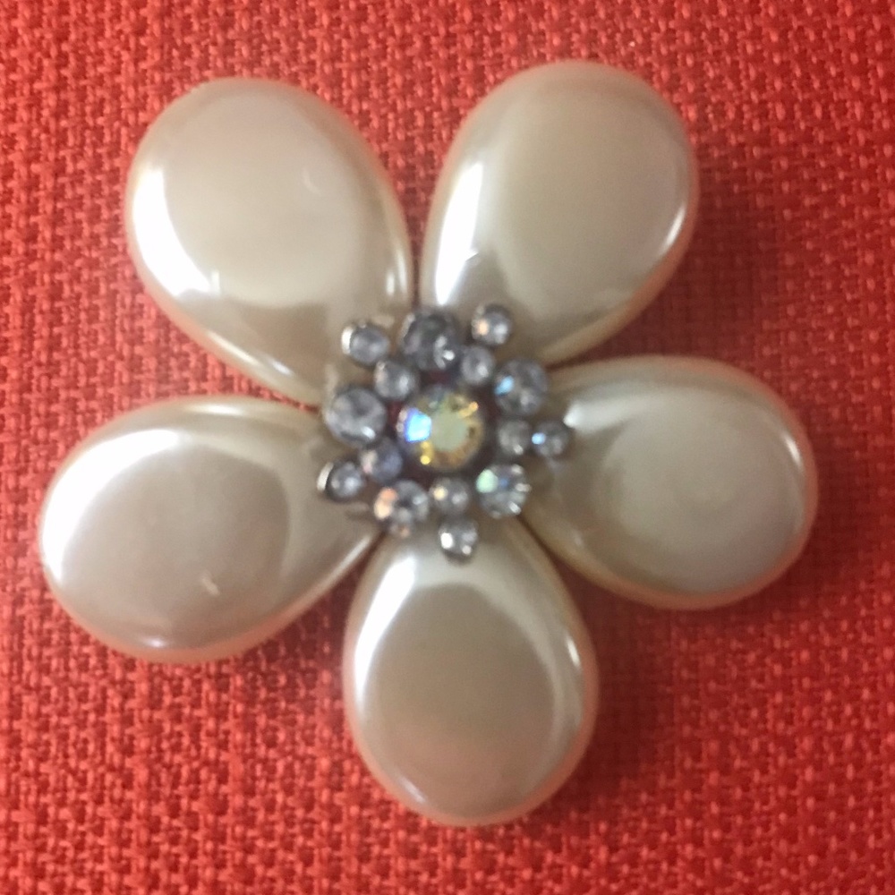 Vintage Broach/Pin